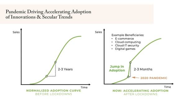 Navigating a Bifurcating Economy: Leaning Into the Digital Economy, Which is Healthy